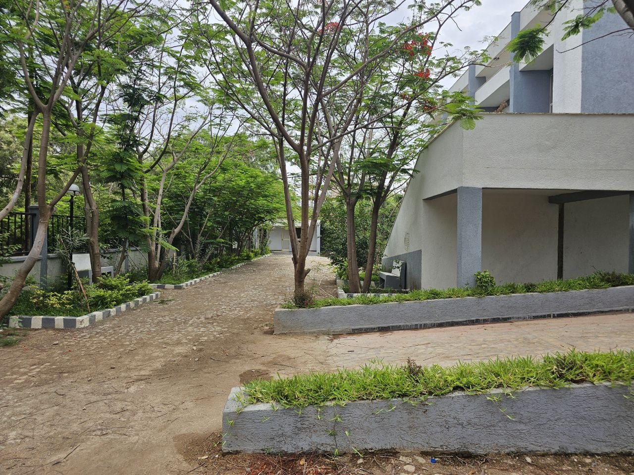 Library Renovation - Image 2